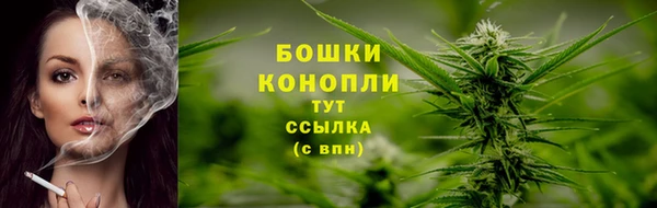 мяу мяу мука Горняк