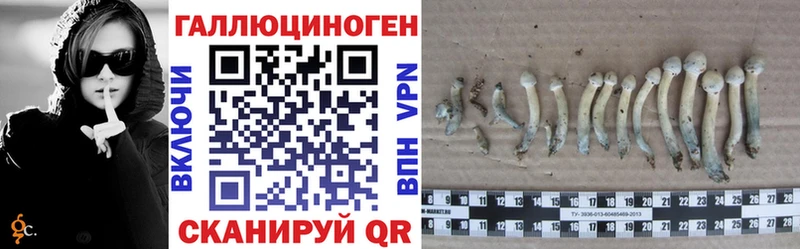 Купить  Невьянск  Псилоцибиновые грибы Psilocybe 